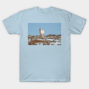 Wild horses, Arizona, nature, wildlife, gifts T-Shirt